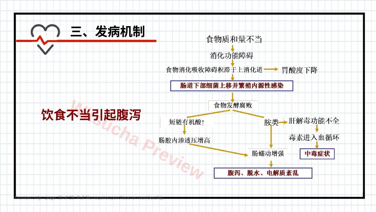 预览第 15 页