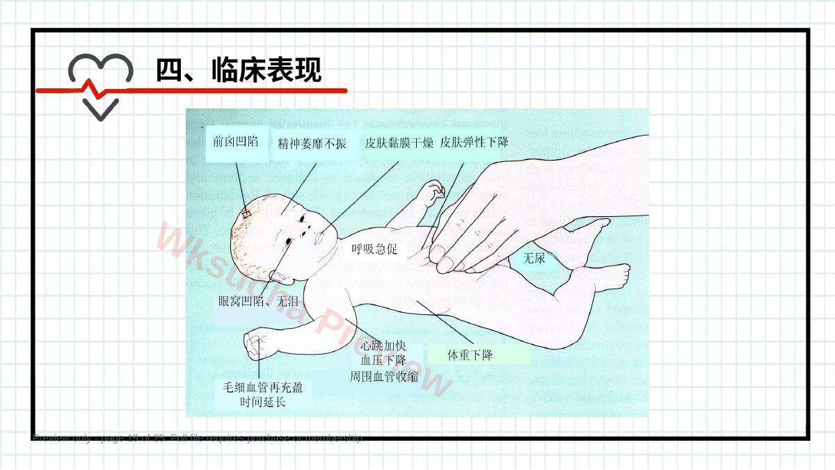 预览第 19 页