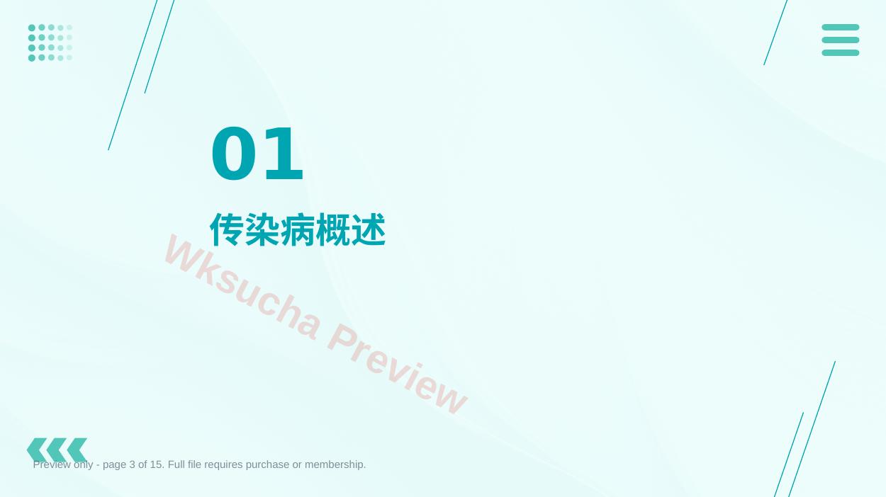 预览第 3 页