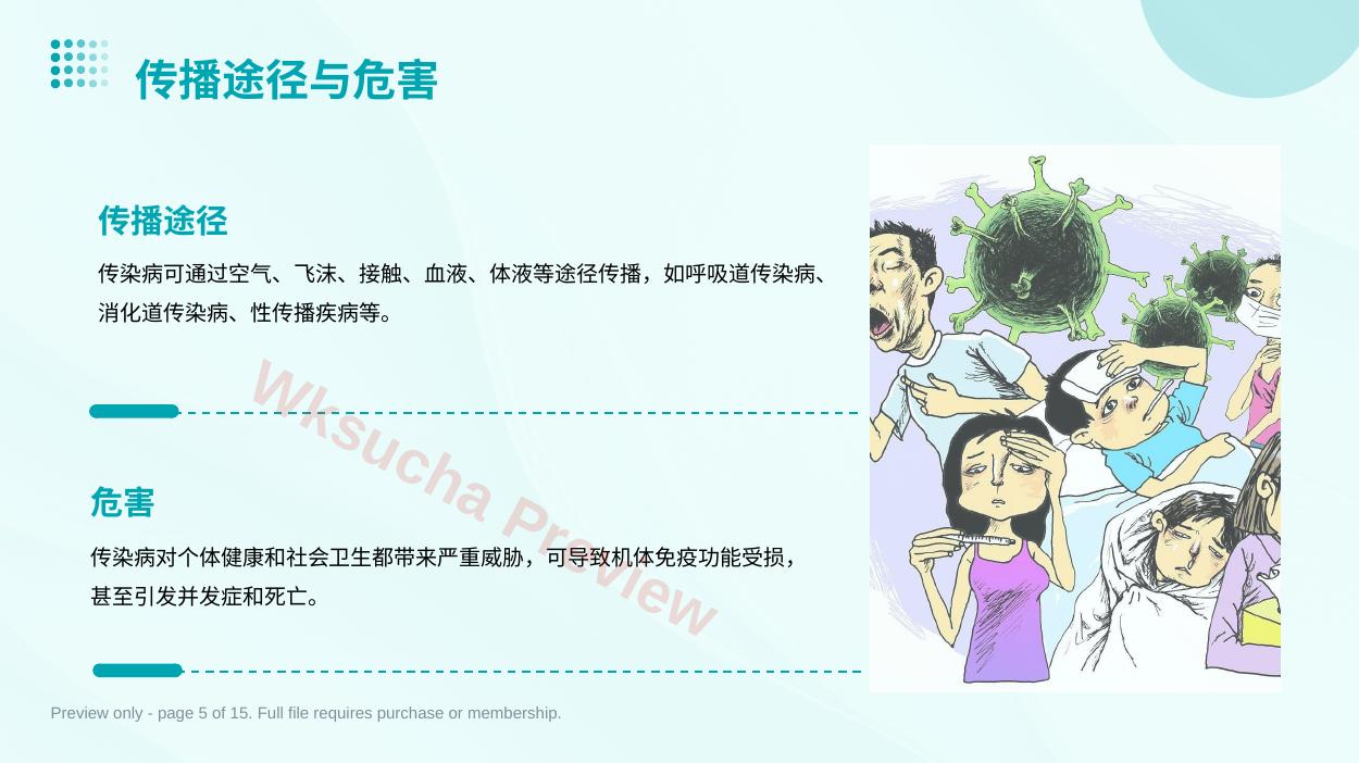 预览第 5 页