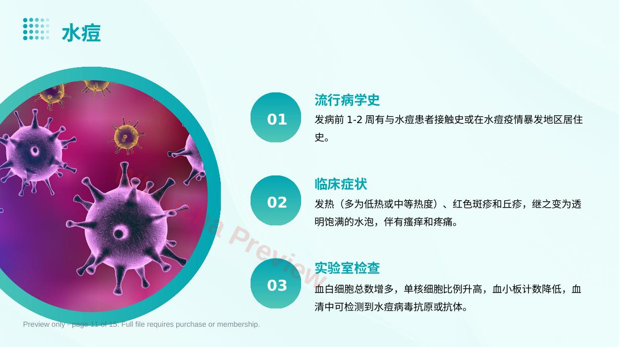 预览第 11 页