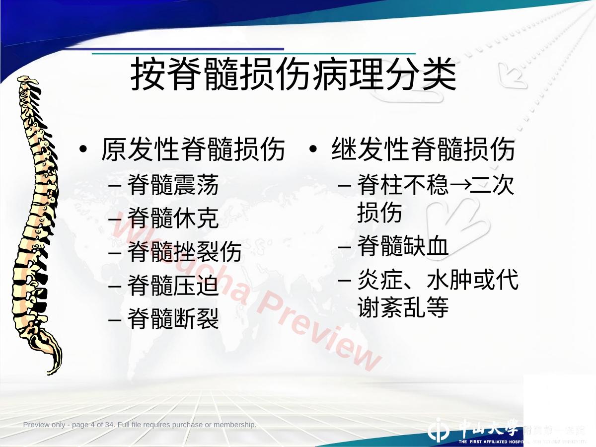 预览第 4 页