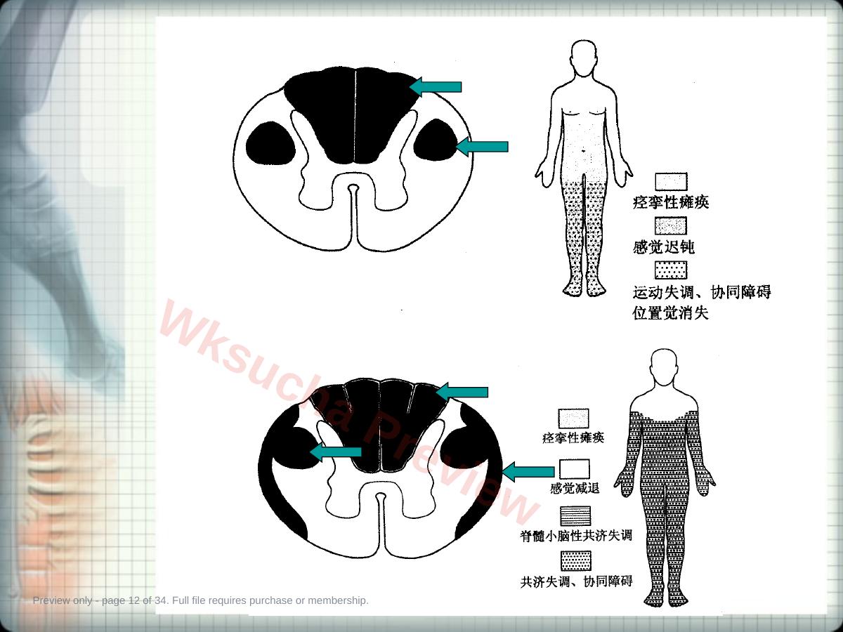 预览第 12 页