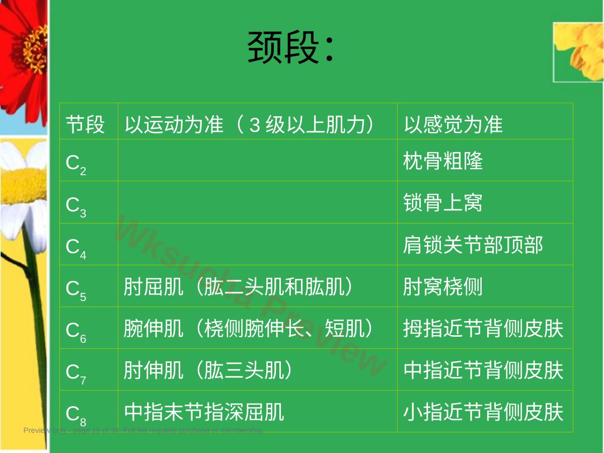 预览第 19 页