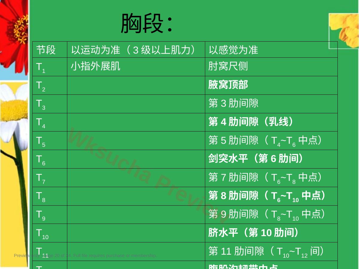 预览第 20 页