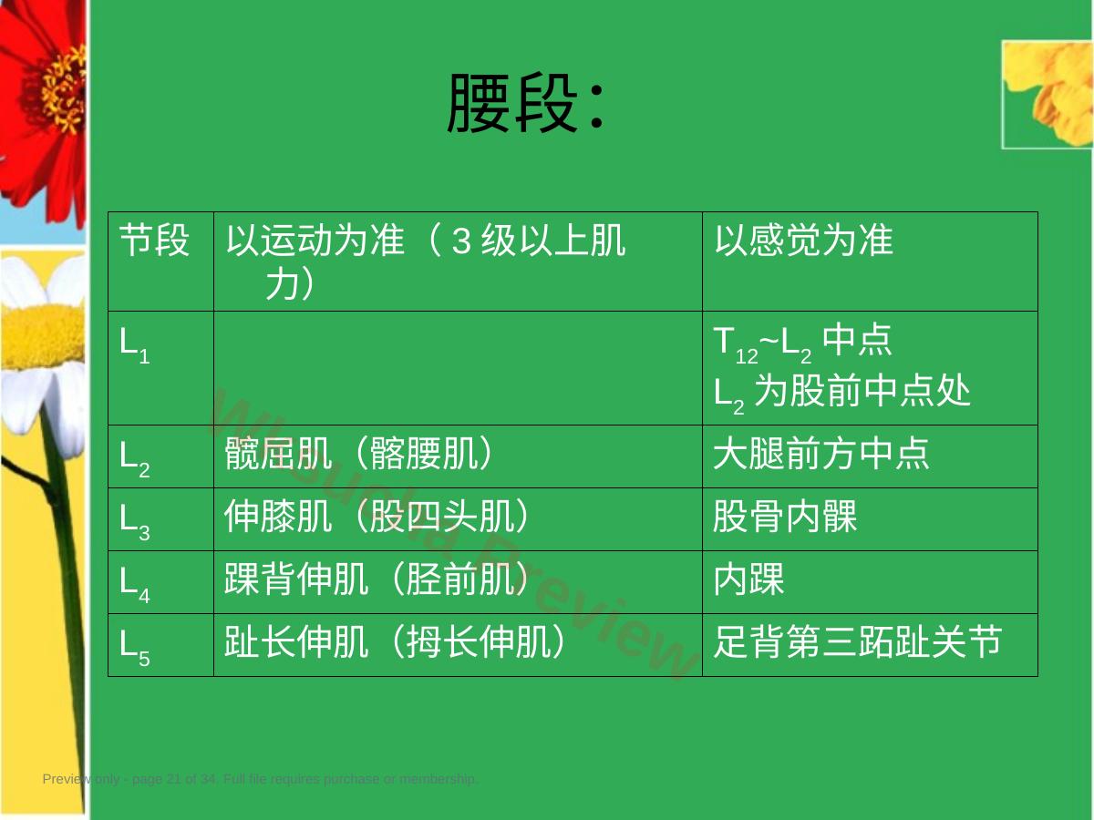 预览第 21 页