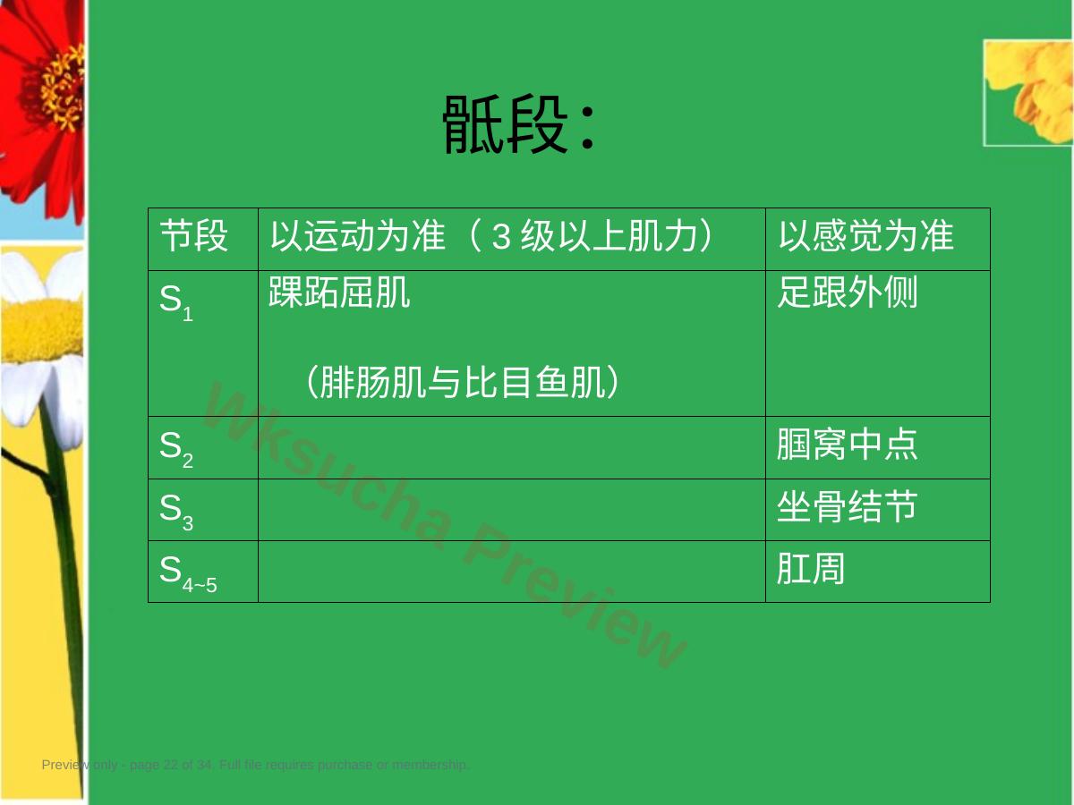 预览第 22 页