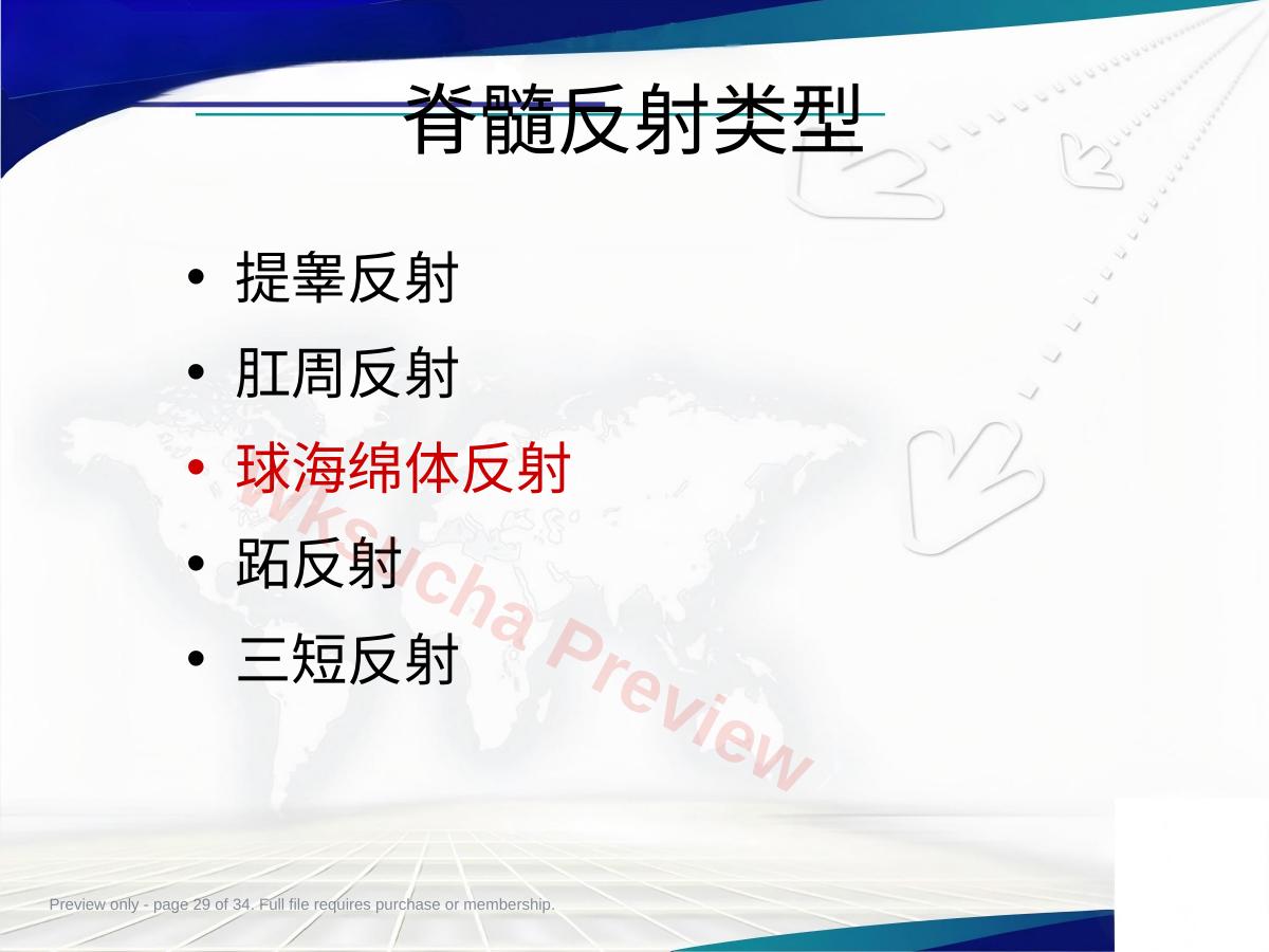 预览第 29 页