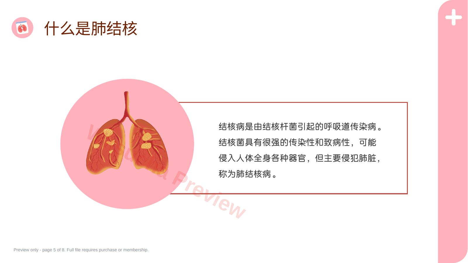 预览第 5 页