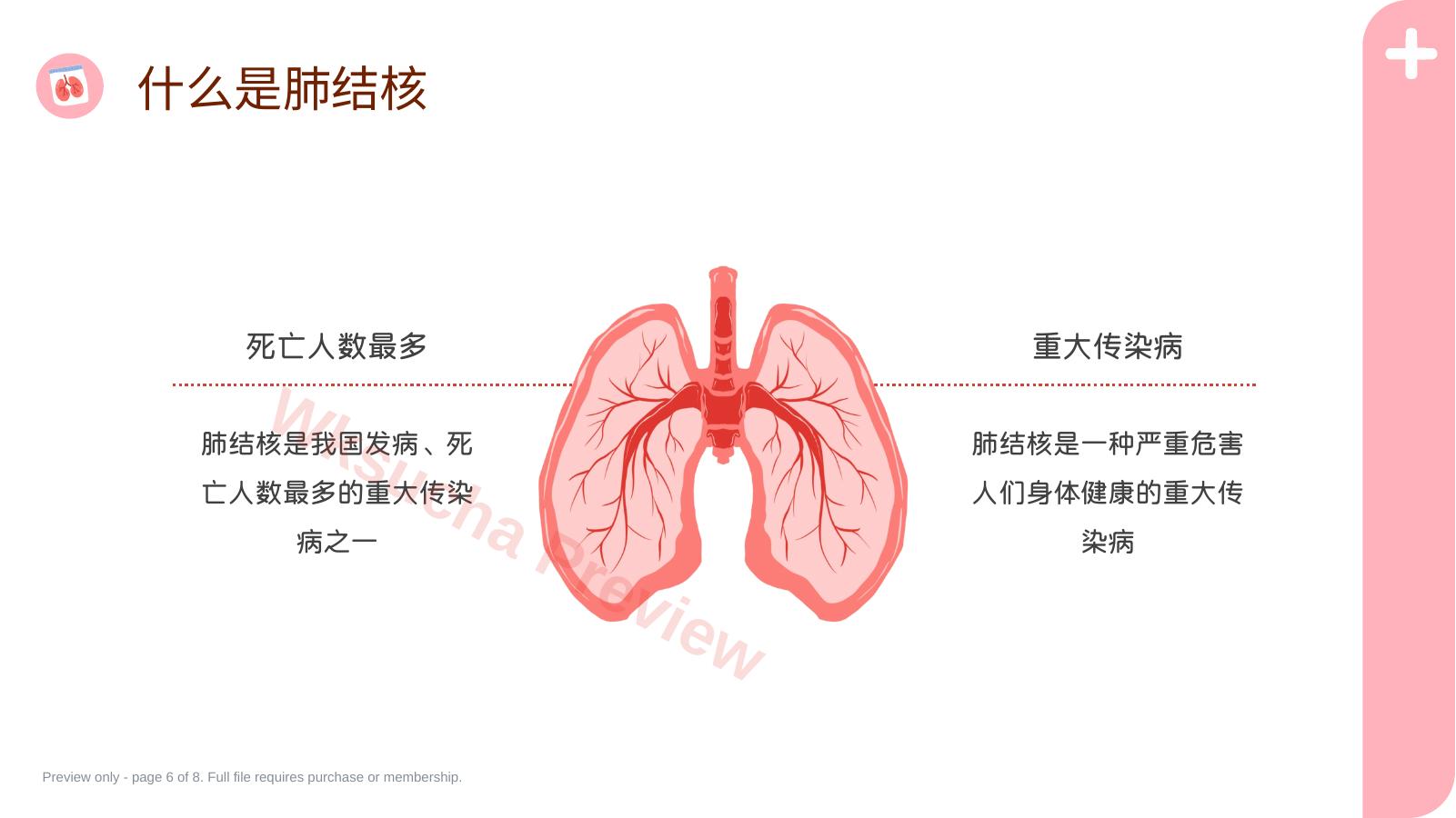 预览第 6 页