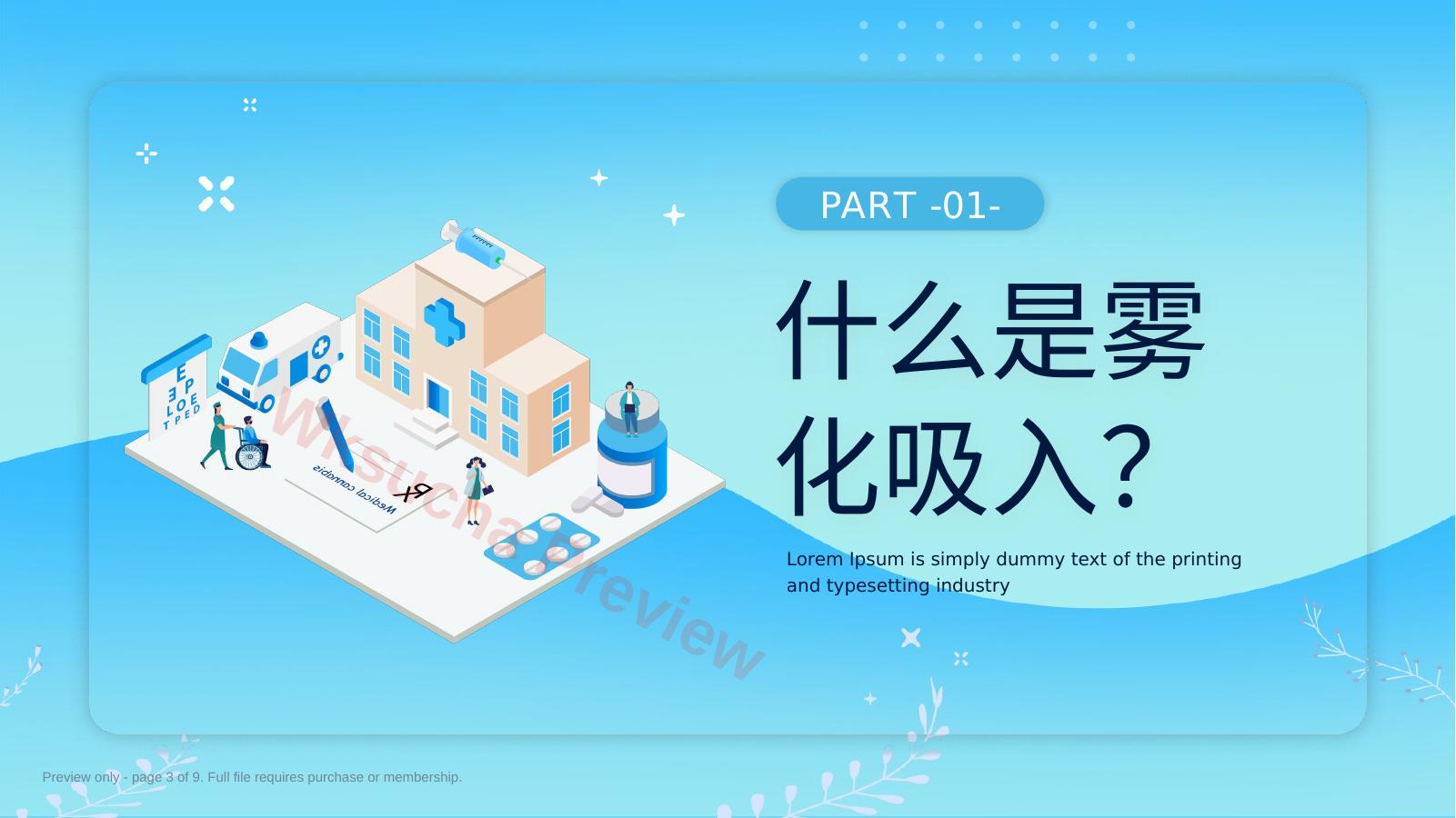 预览第 3 页