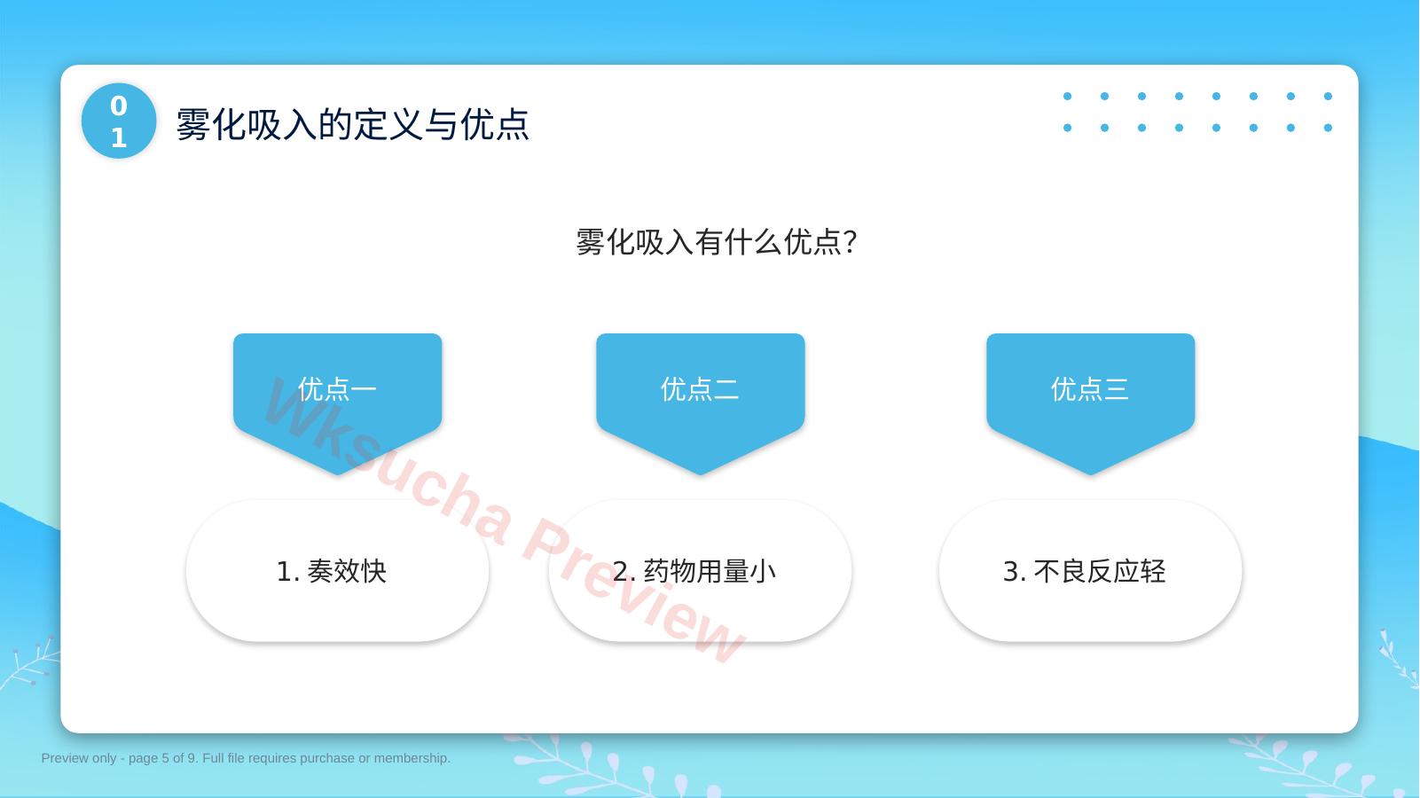 预览第 5 页