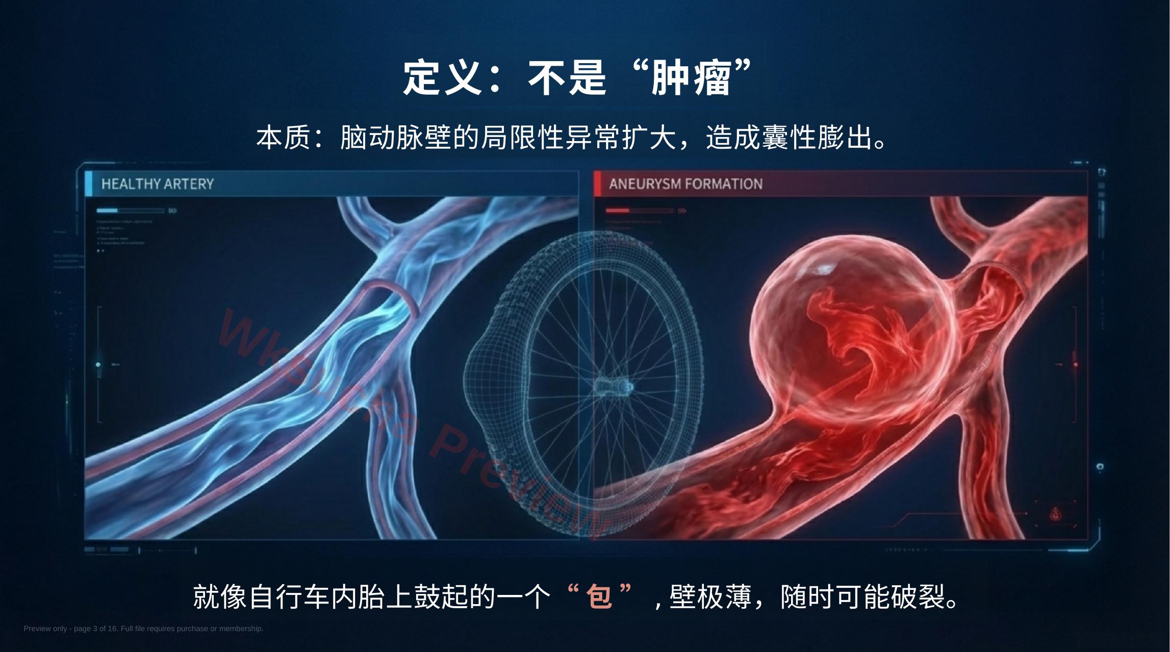 预览第 3 页