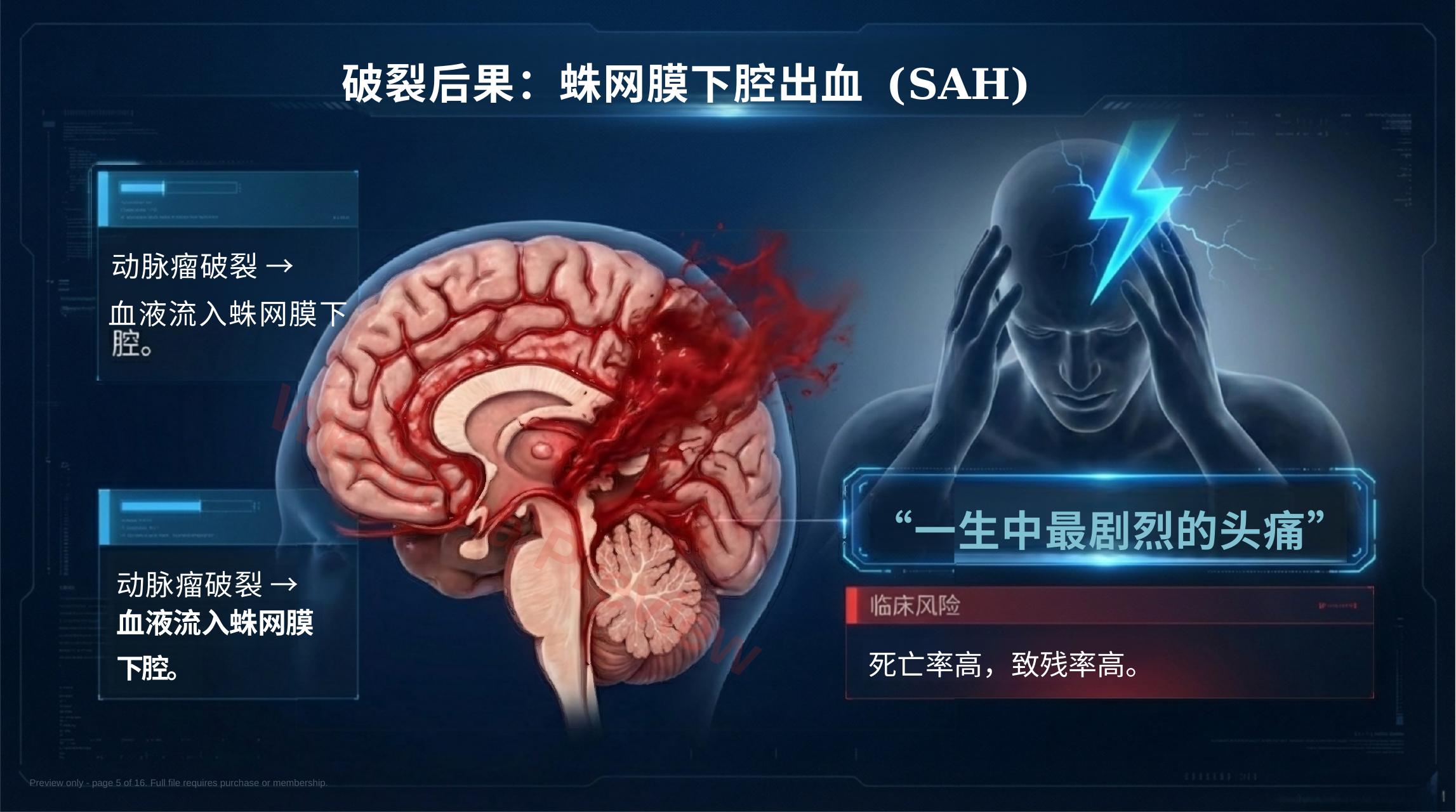 预览第 5 页
