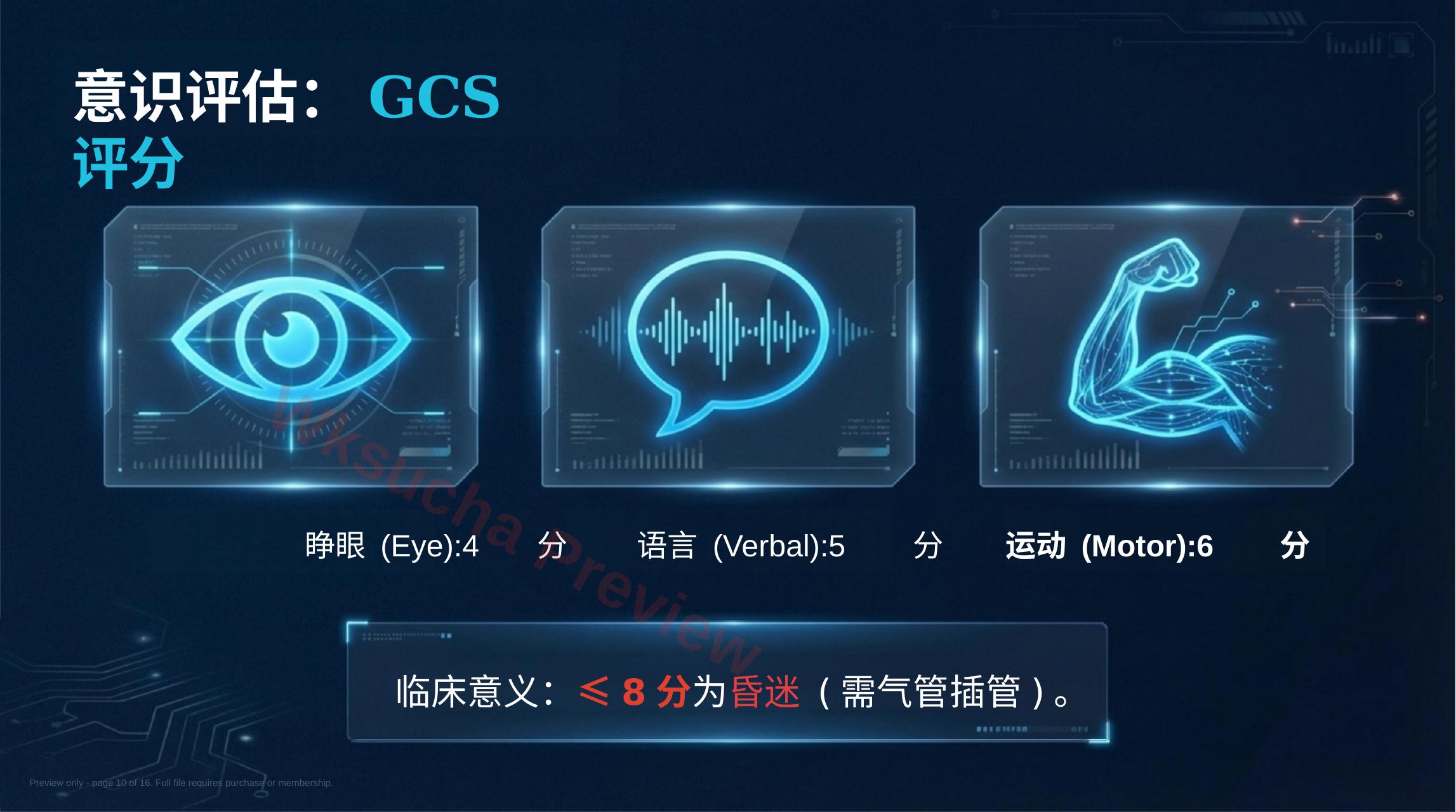 预览第 10 页