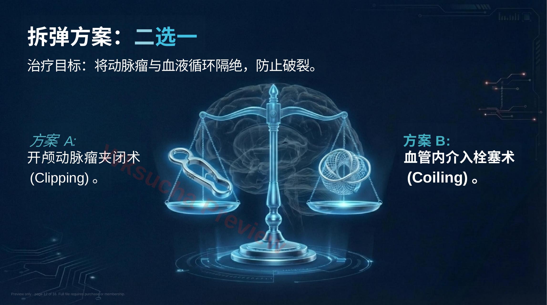预览第 12 页