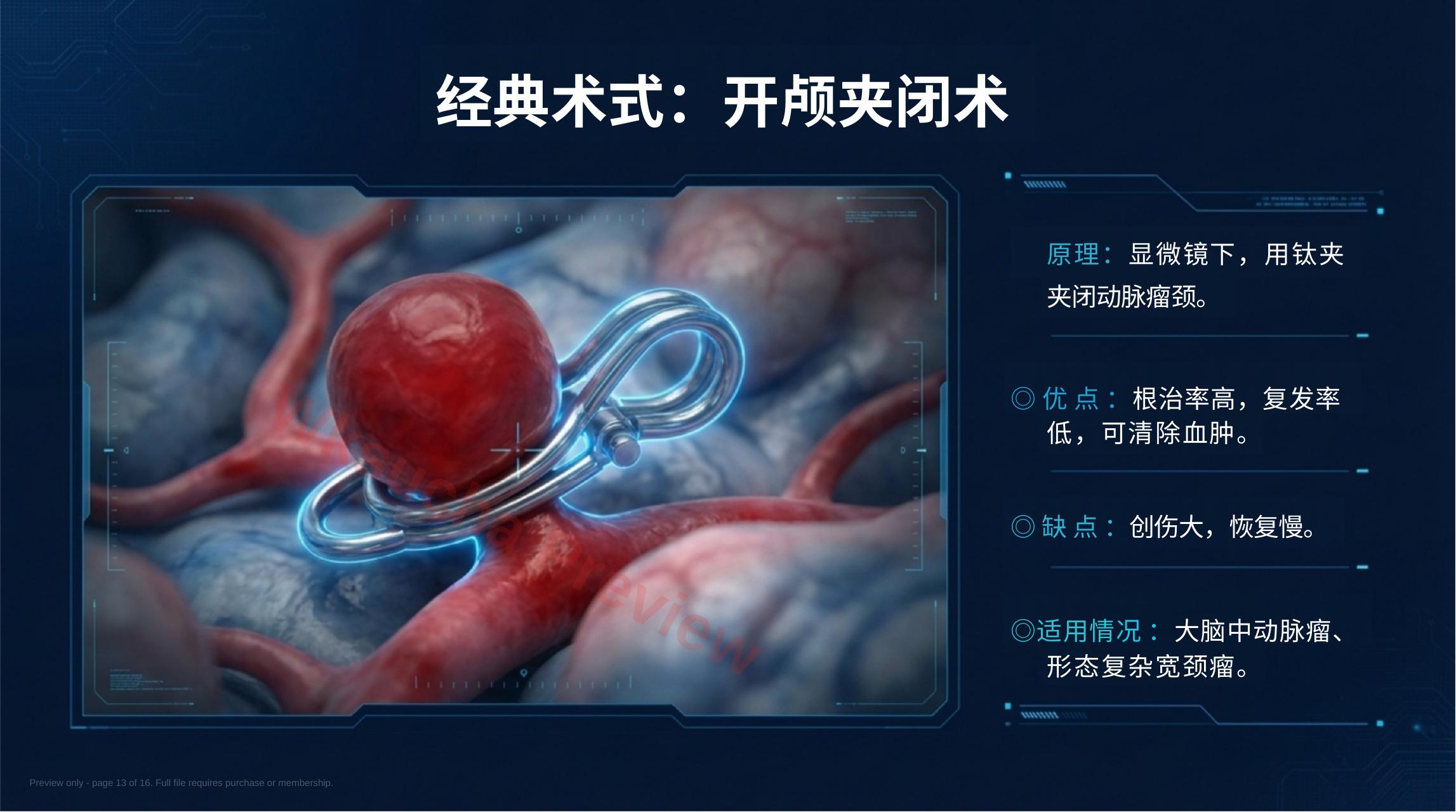 预览第 13 页