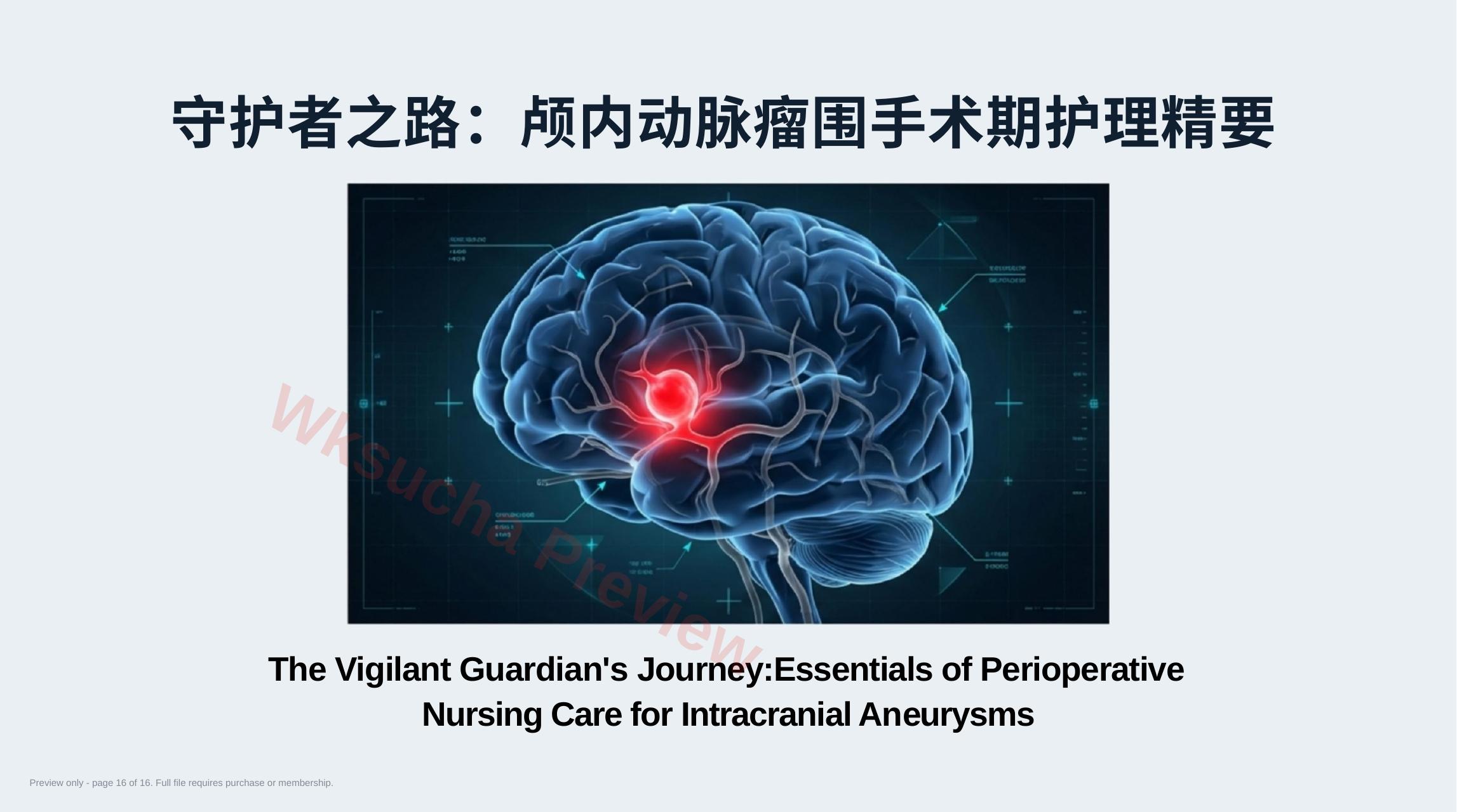 预览第 16 页