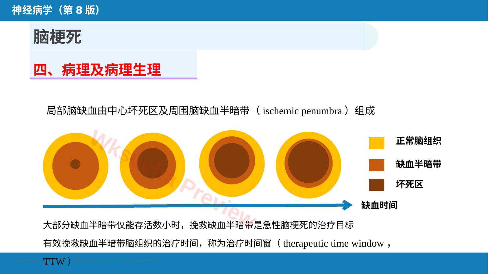 预览第 6 页