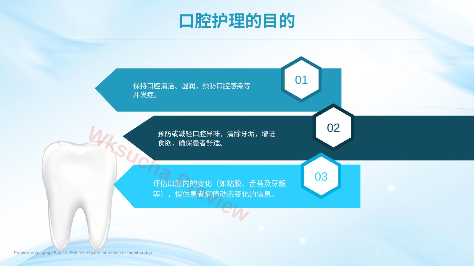 预览第 5 页