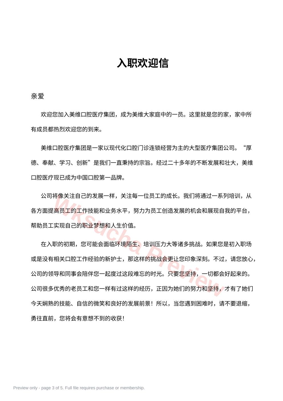 预览第 3 页