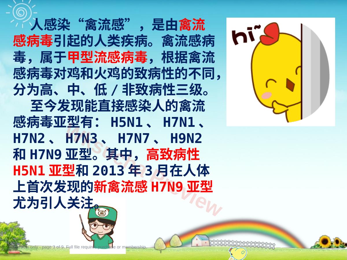 预览第 3 页
