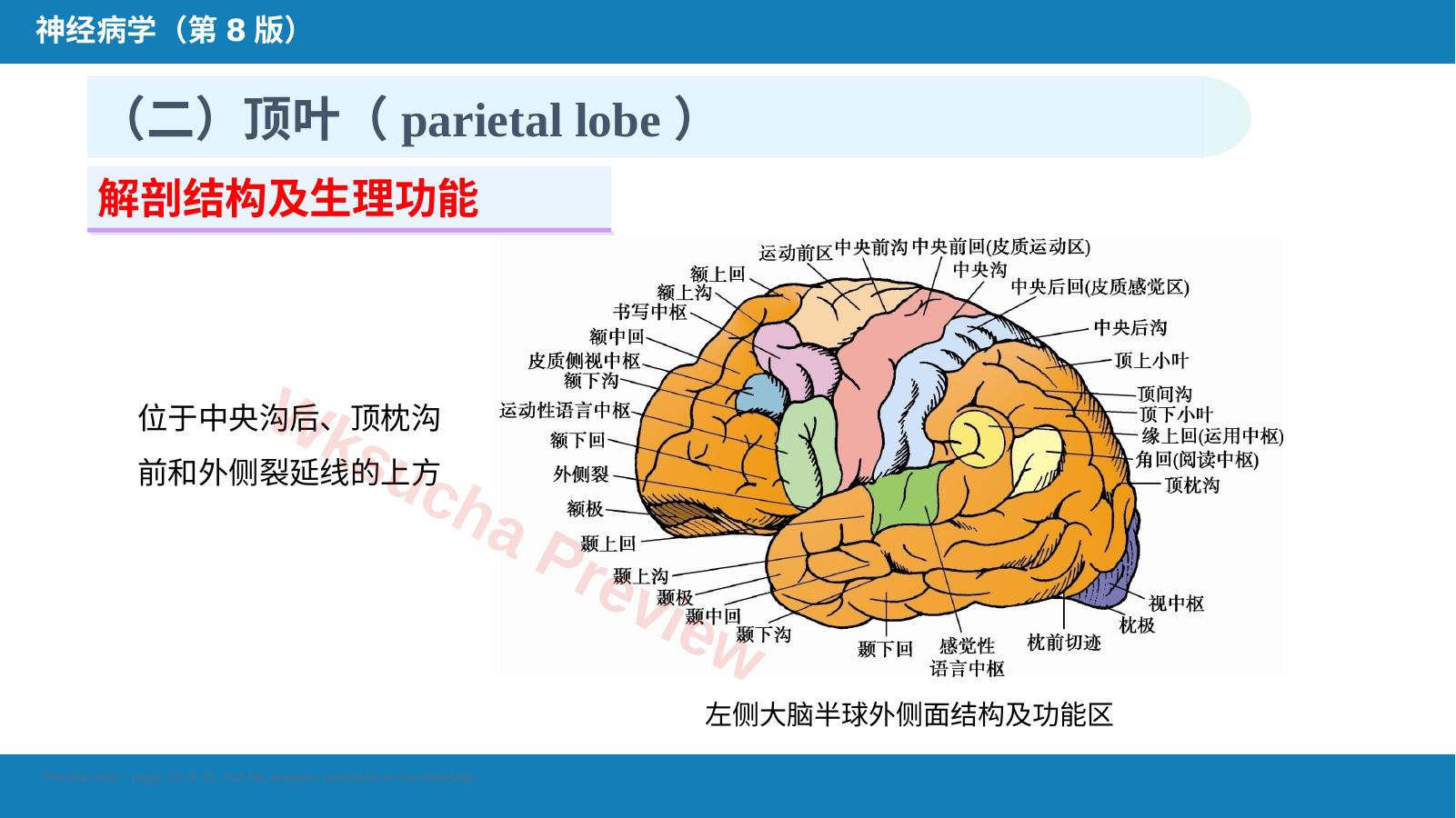 预览第 15 页