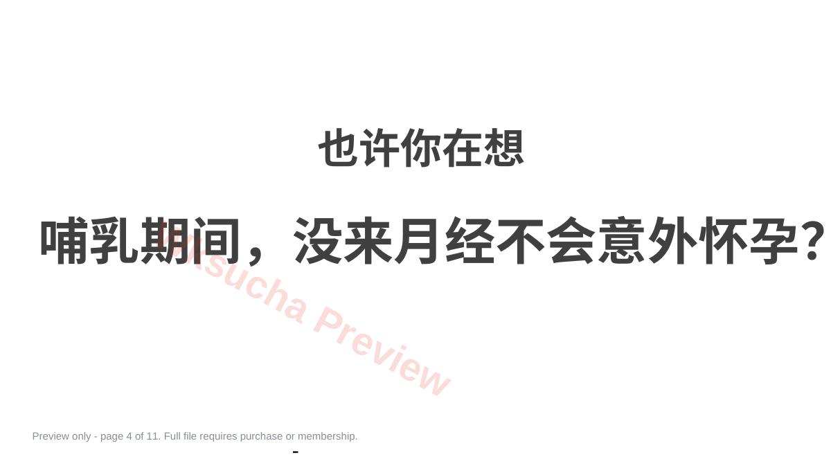 预览第 4 页