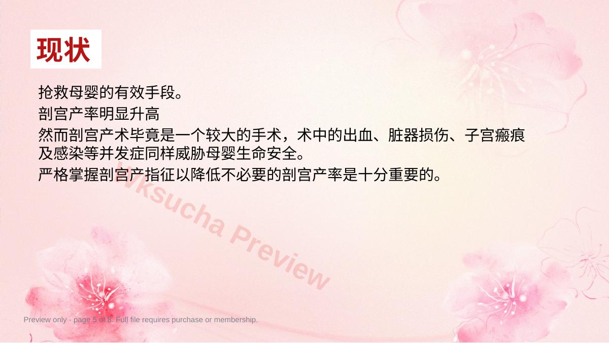 预览第 5 页