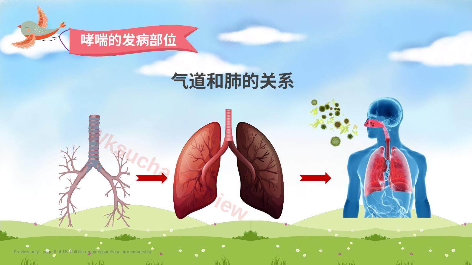 预览第 6 页