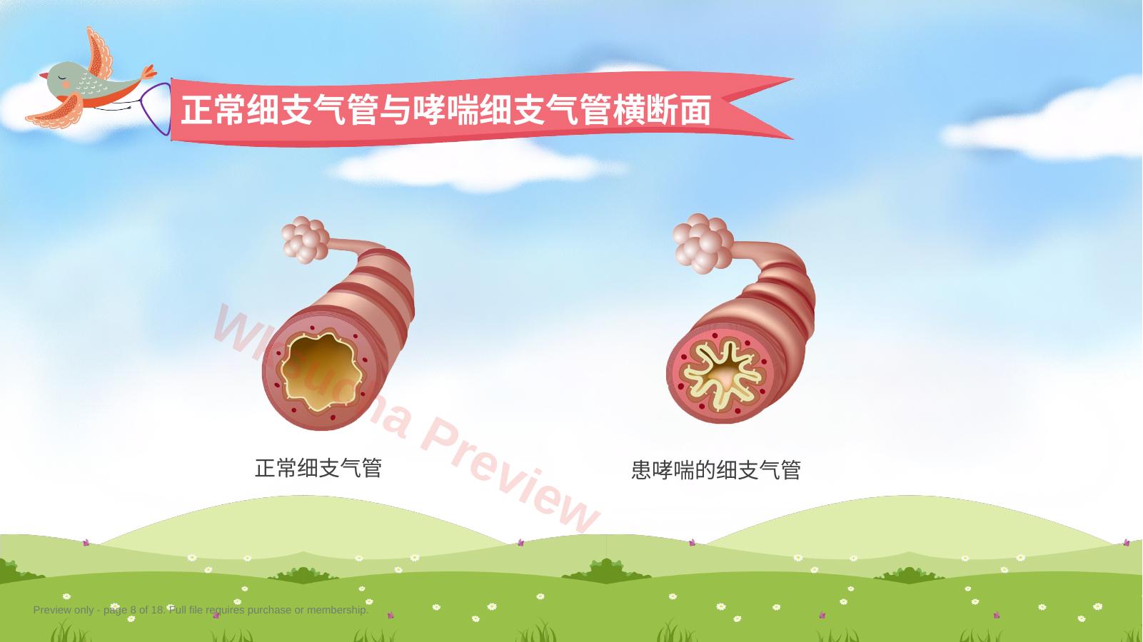 预览第 8 页