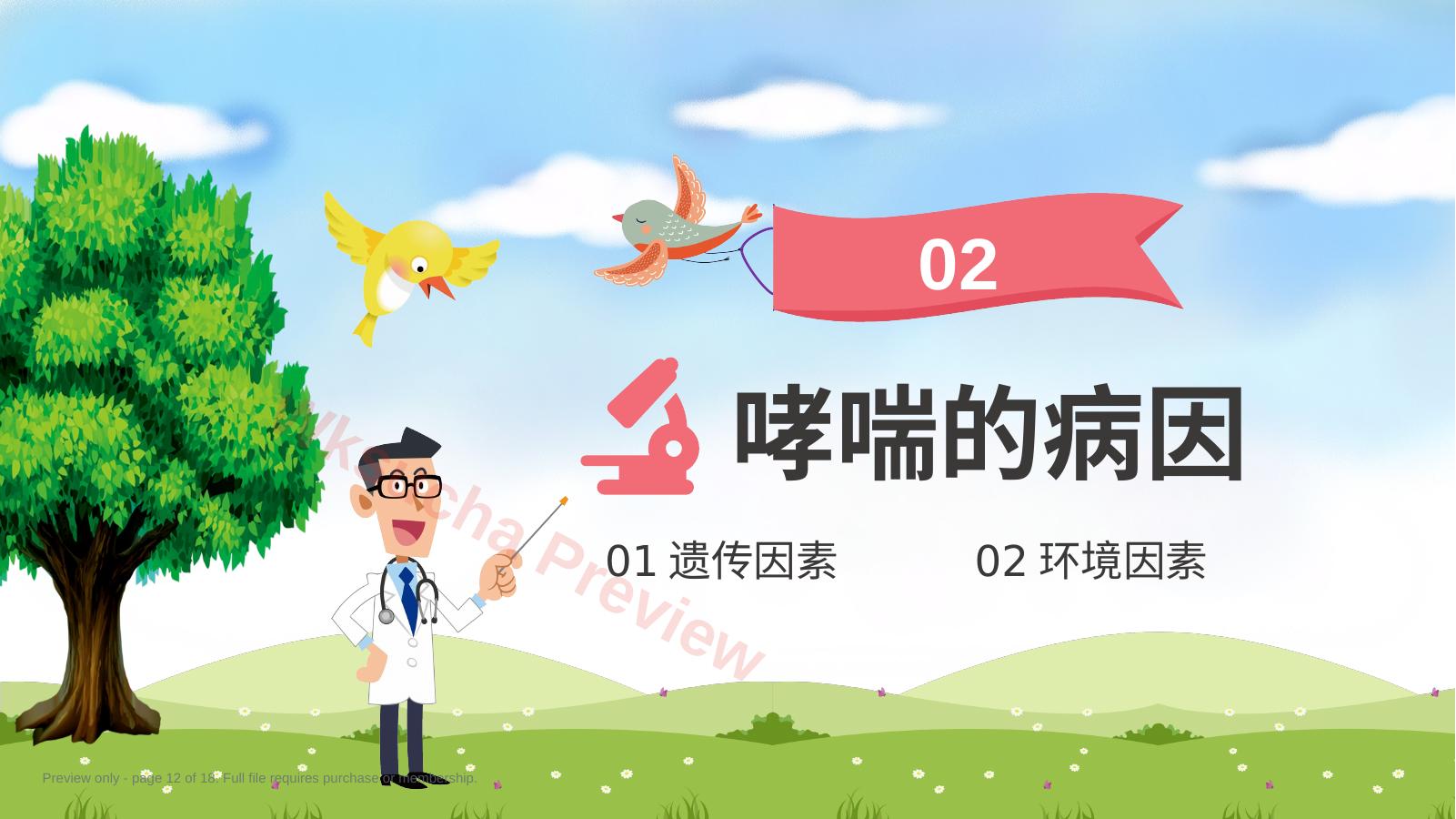 预览第 12 页