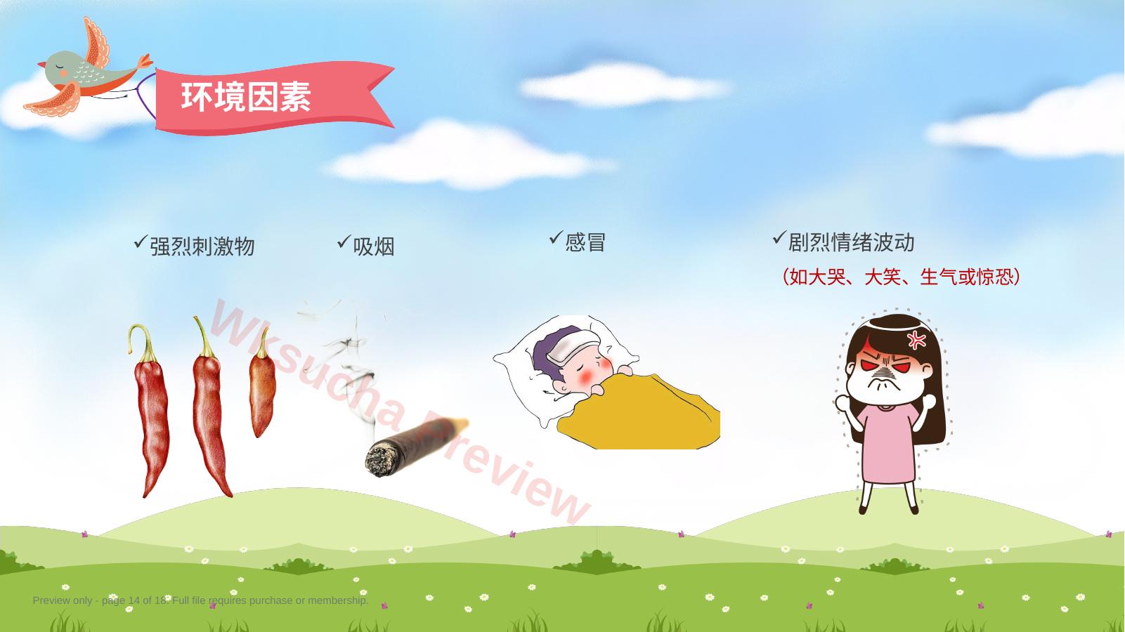 预览第 14 页
