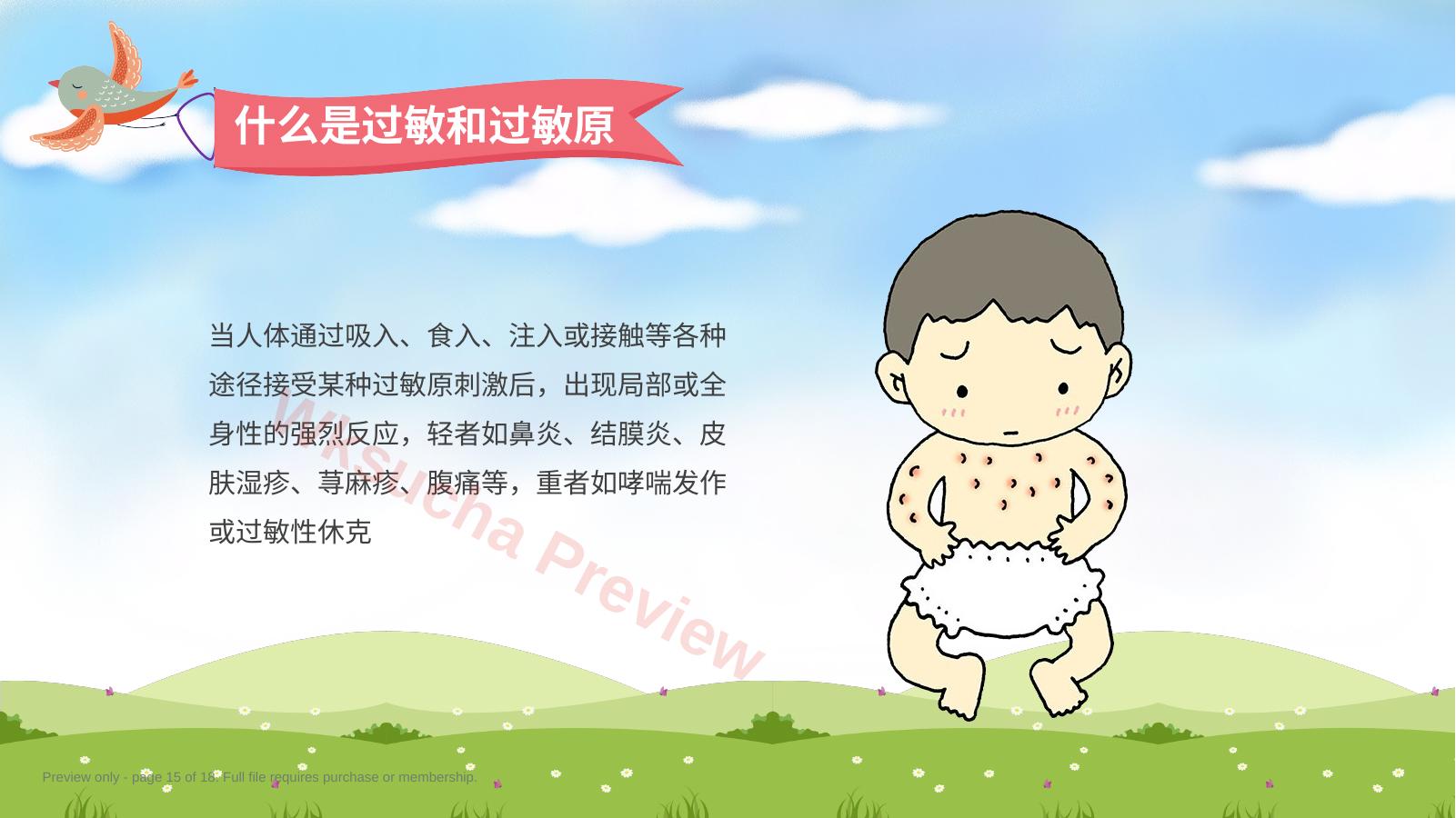 预览第 15 页