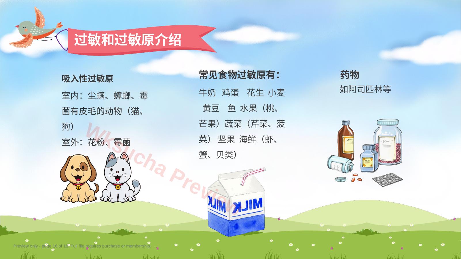 预览第 16 页