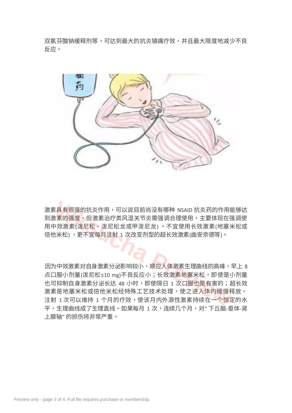 预览第 3 页