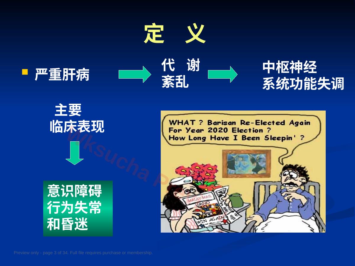 预览第 3 页