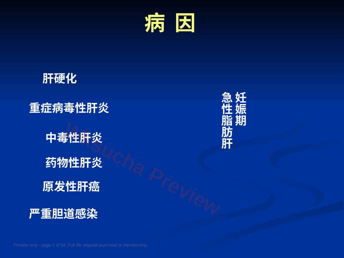 预览第 5 页