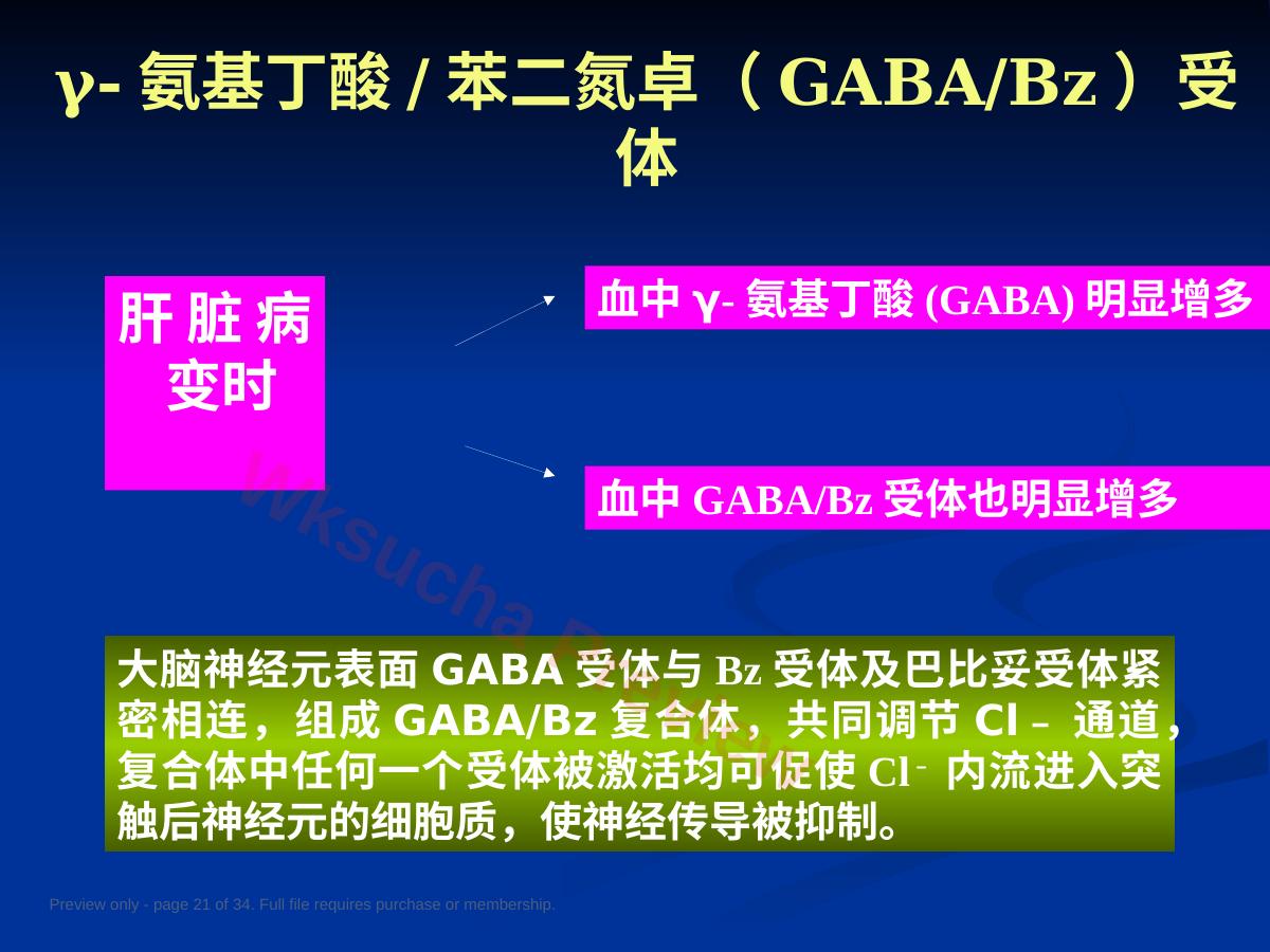 预览第 21 页