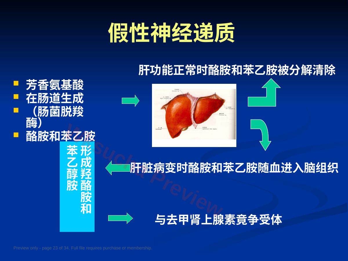 预览第 23 页