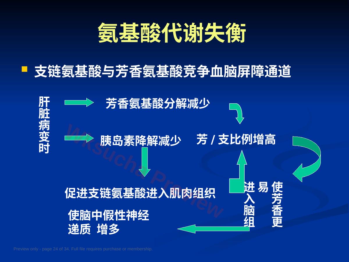 预览第 24 页