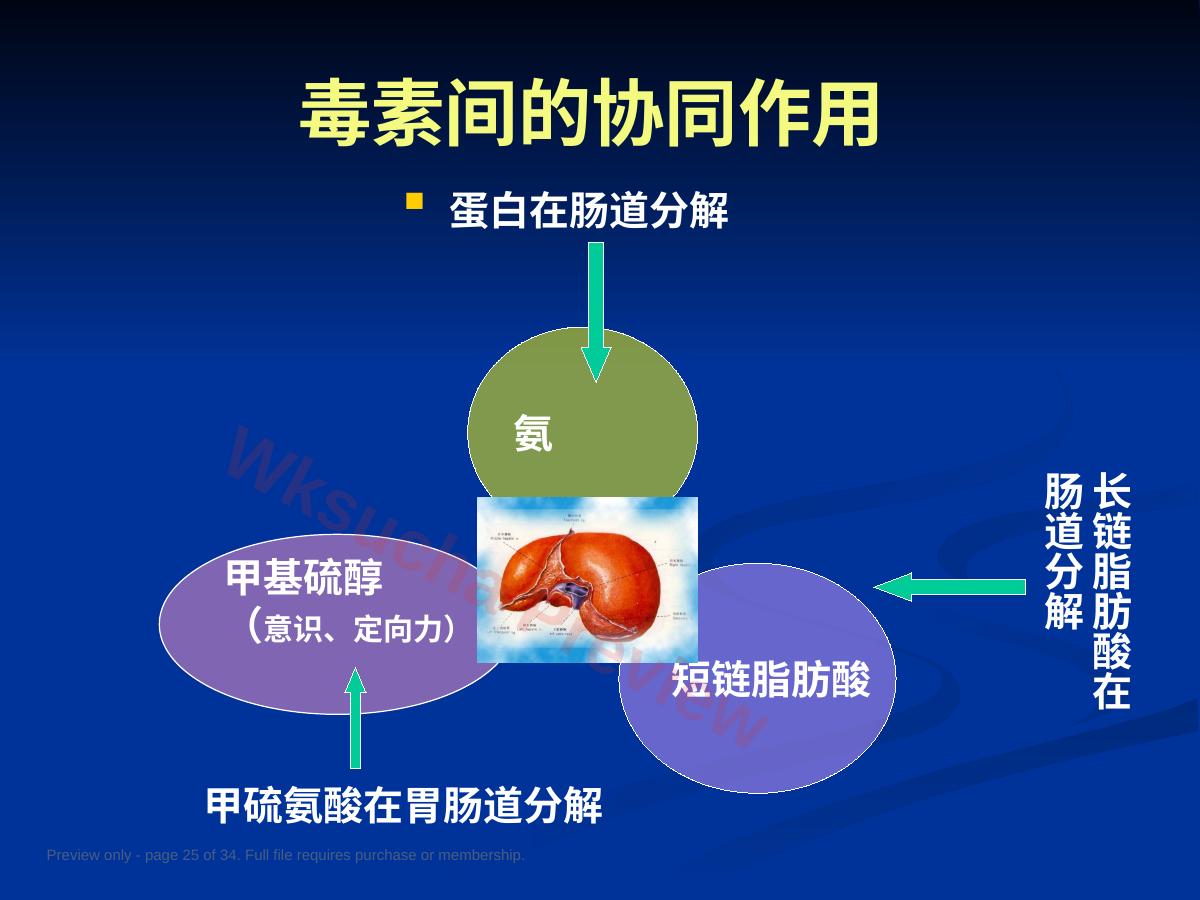 预览第 25 页