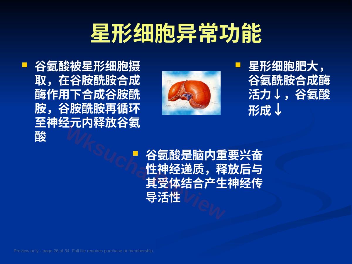 预览第 26 页
