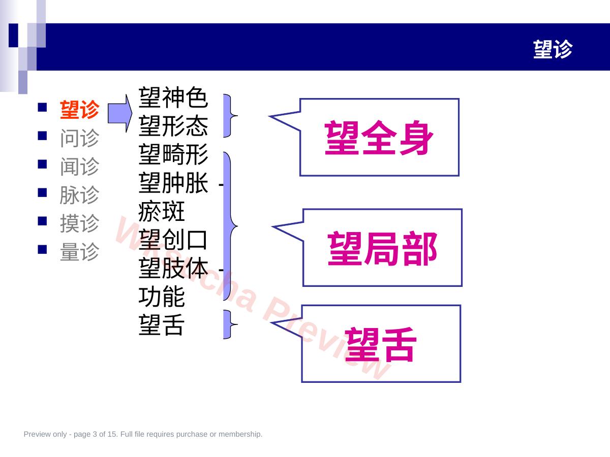 预览第 3 页