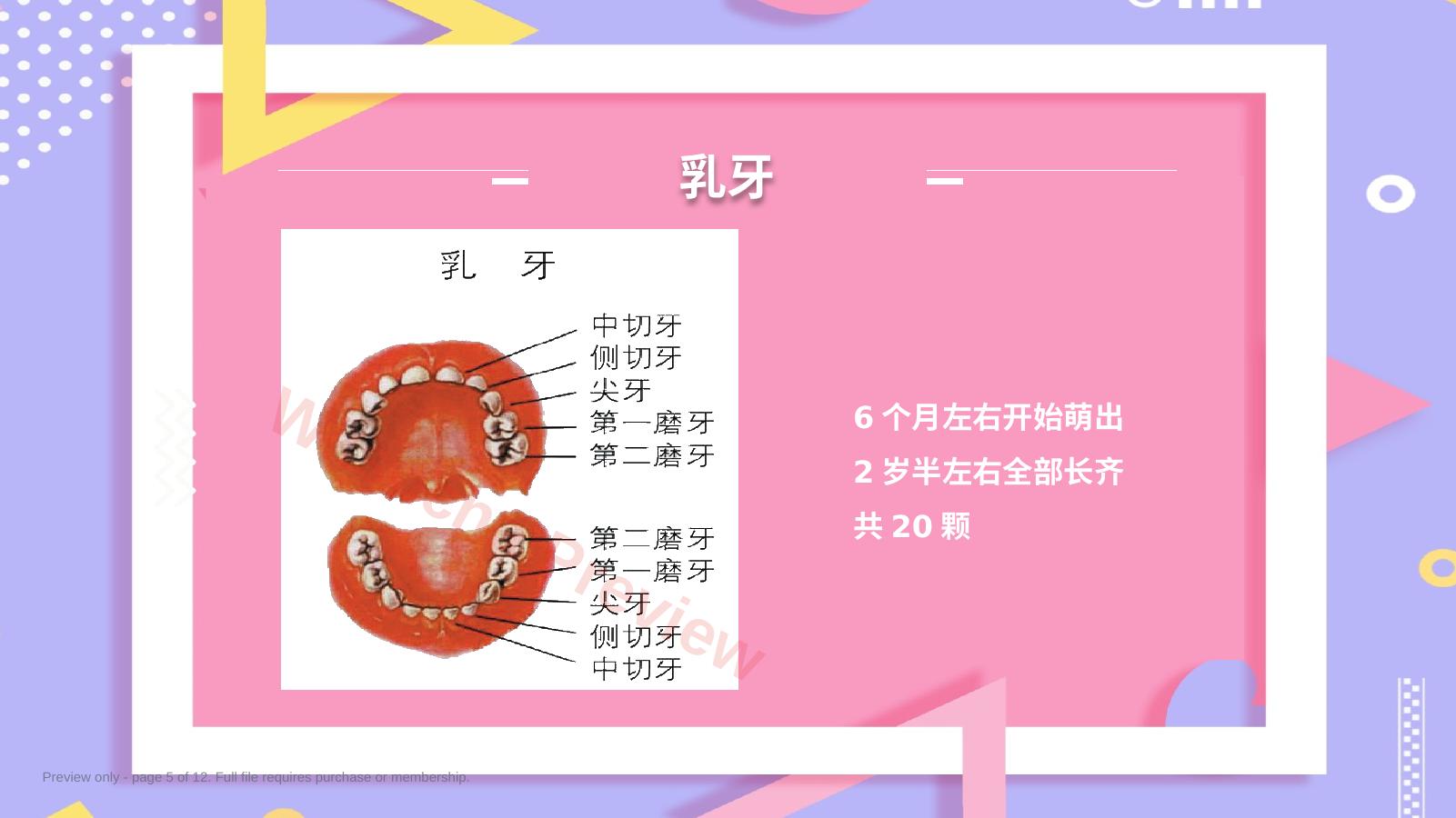 预览第 5 页