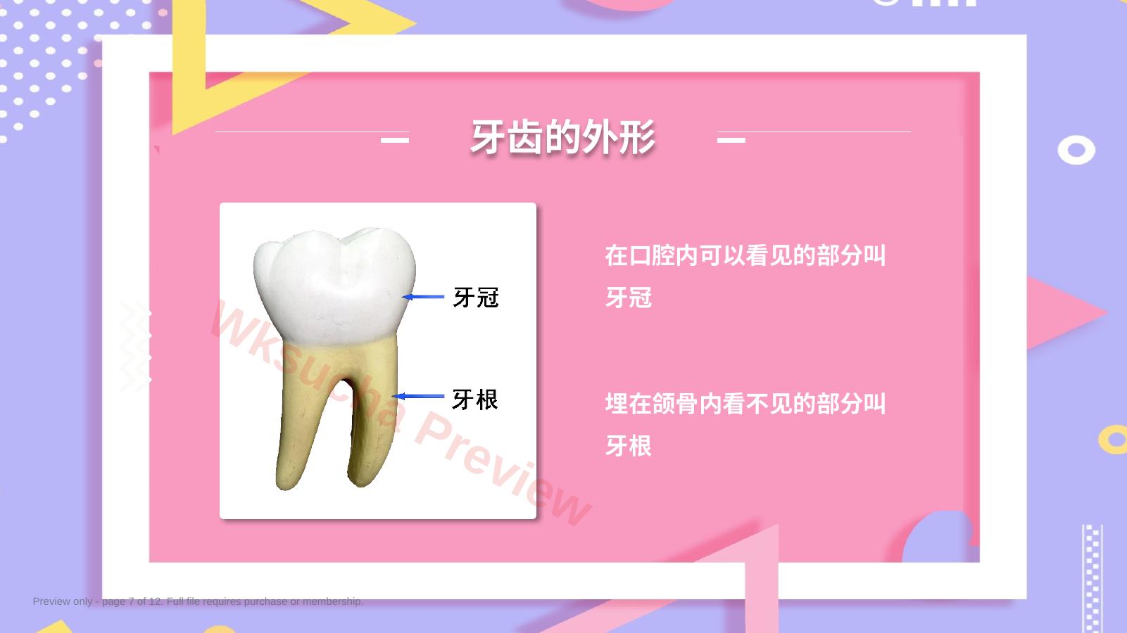 预览第 7 页
