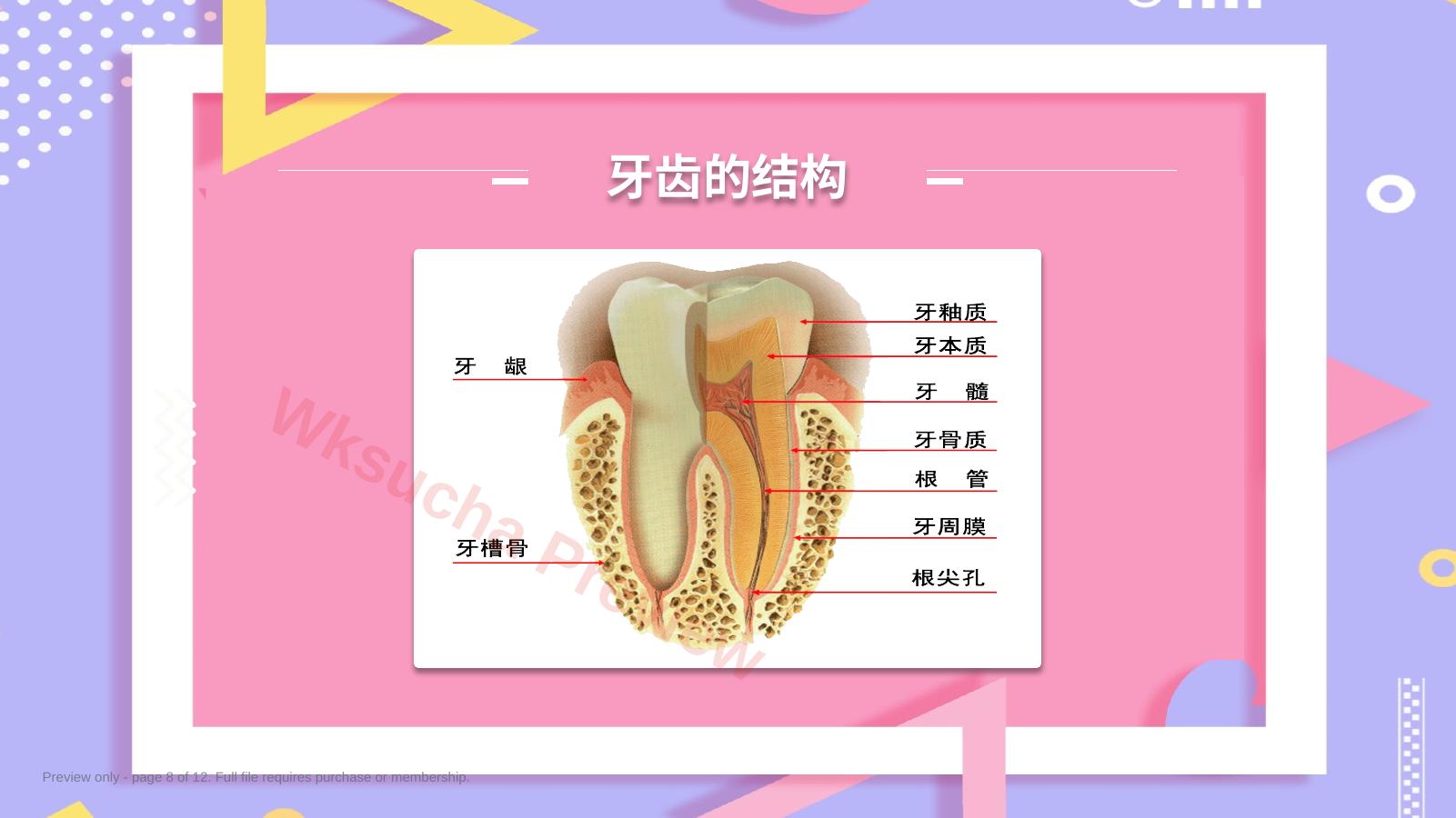 预览第 8 页