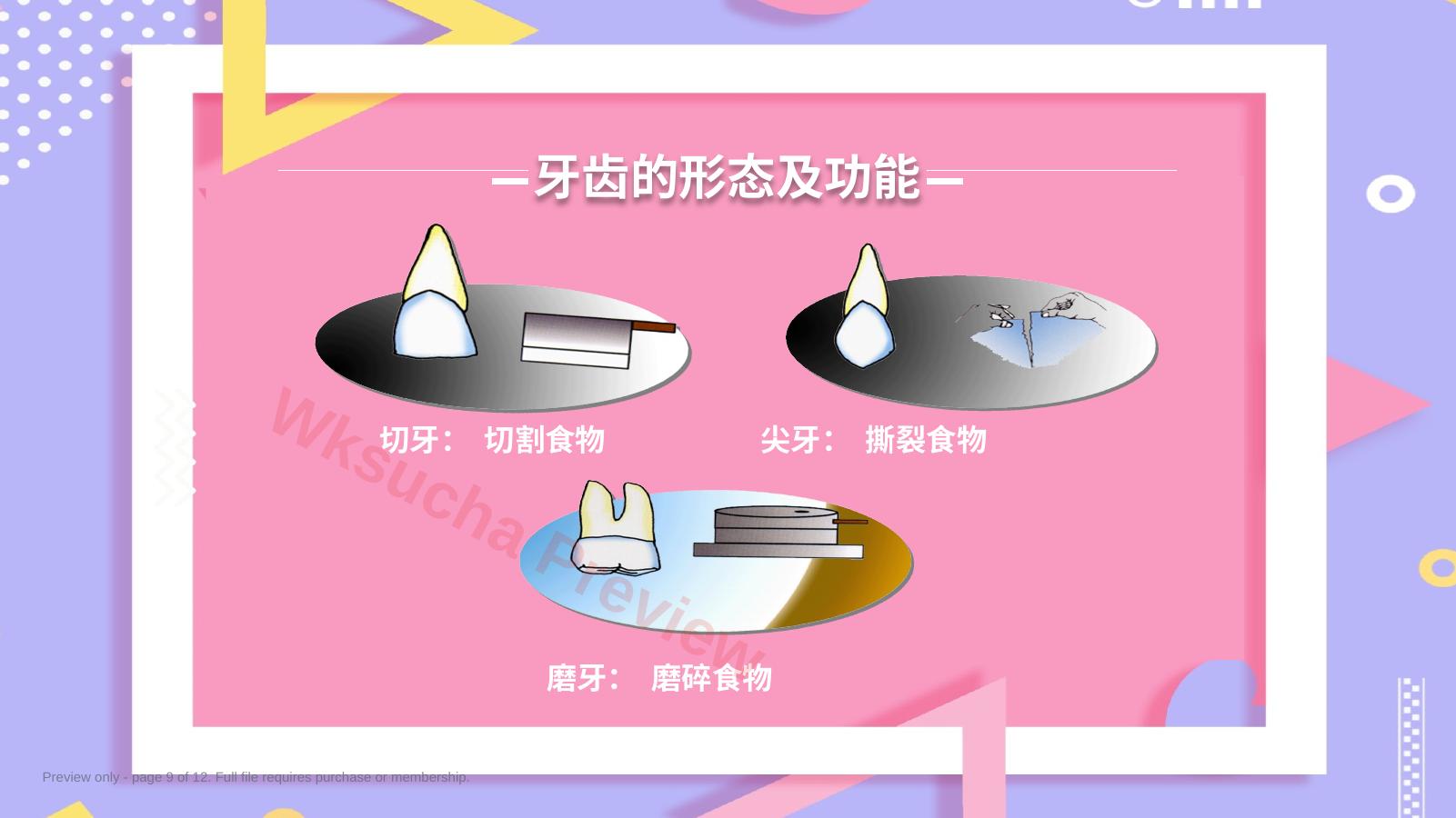 预览第 9 页