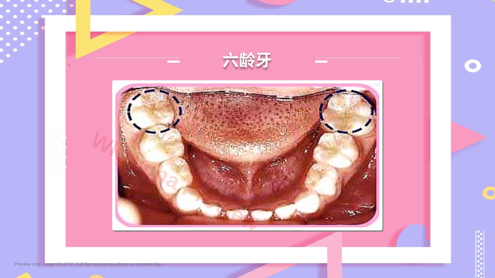 预览第 10 页
