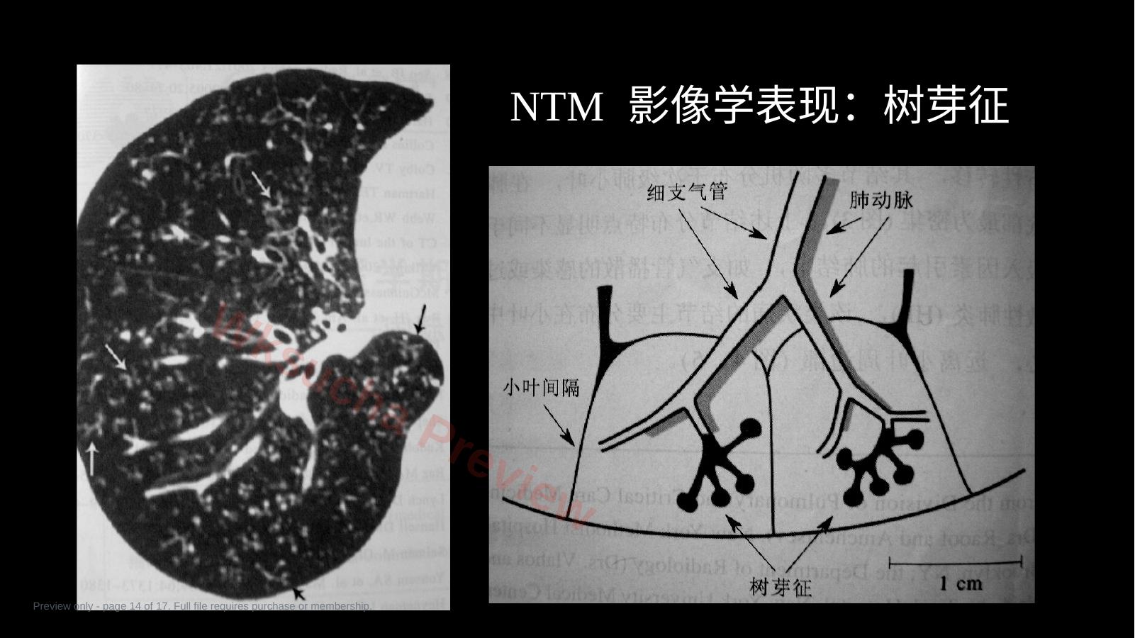 预览第 14 页